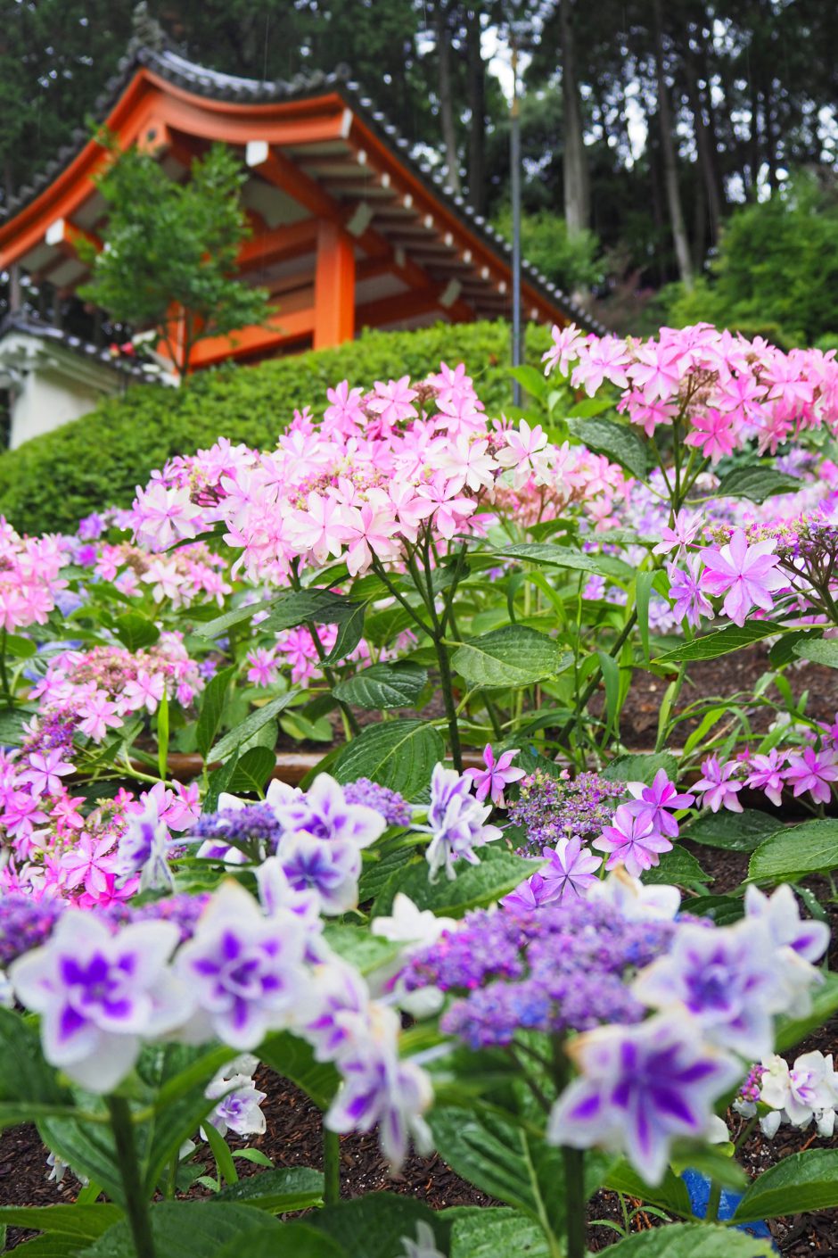 京都6月のイベント 観光情報 京都ガーデンパレス 公式 京都御所ベストアクセスの京都のホテル